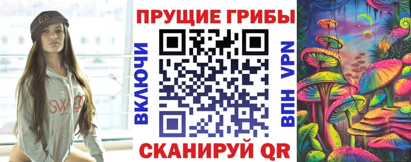 hydra зеркало  Туймазы  Псилоцибиновые грибы MAGIC MUSHROOMS  где можно купить наркотик 