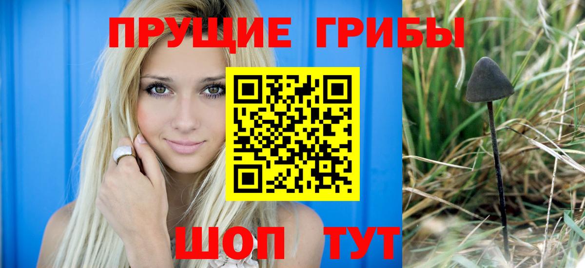 Галлюциногенные грибы MAGIC MUSHROOMS Туймазы